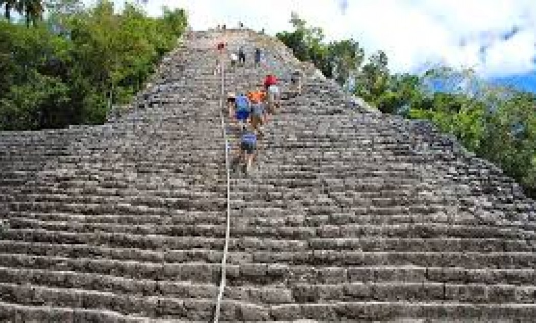 COBA 1
