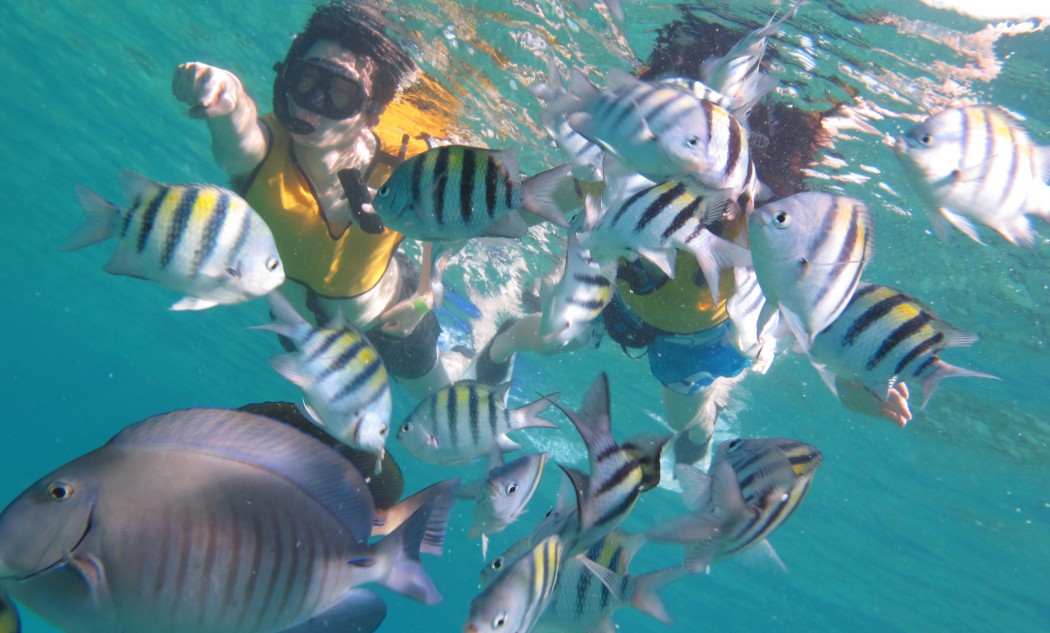 foto snorkel mica adentro