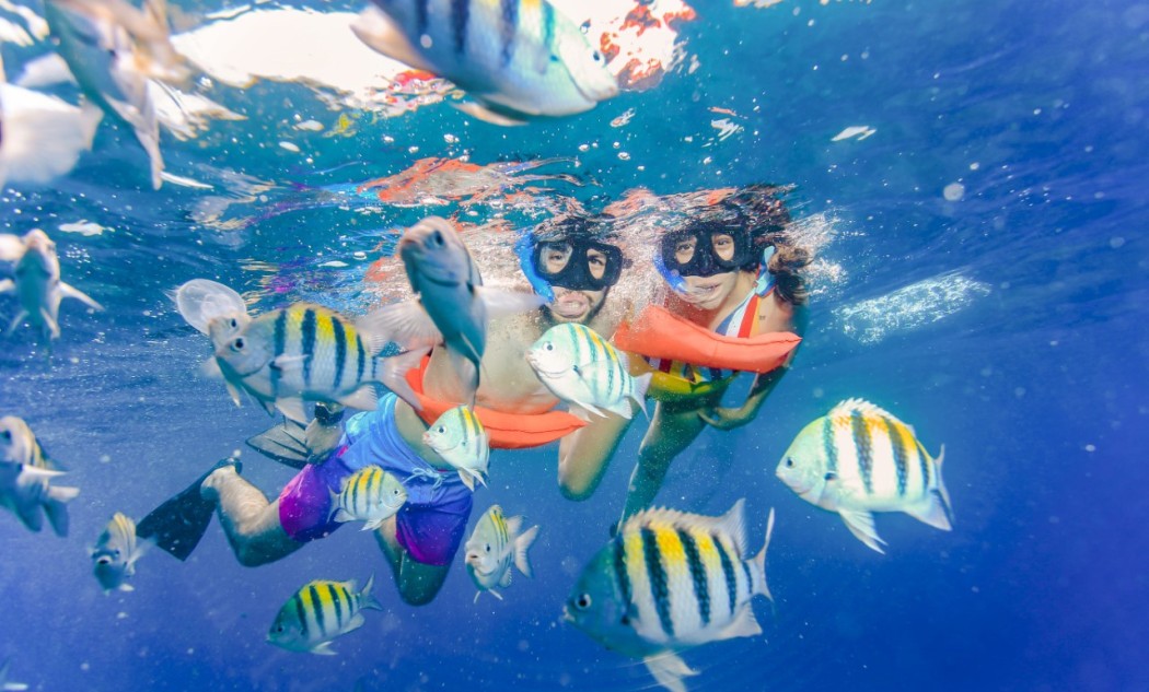 Catamaran Snorkel 6