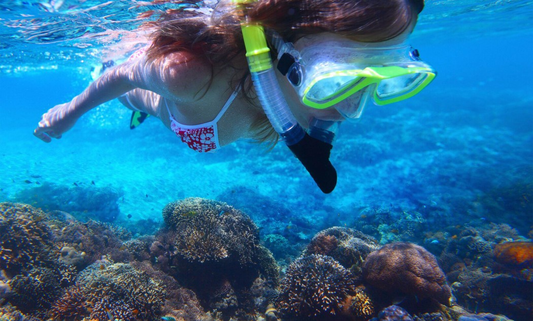 snorkel 1